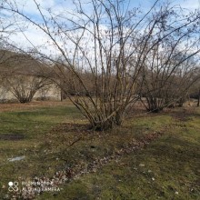 Satılır Torpaq, Qəbələ.ş-1