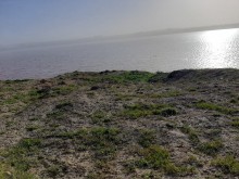 Satılır Torpaq, Abşeron.r, Novxanı-3