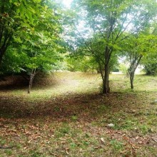 Satılır Torpaq, Qəbələ.ş-1