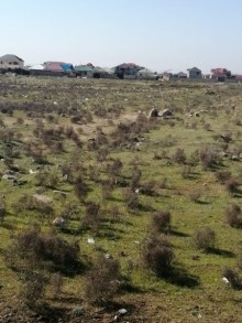 Satılır Torpaq, Sabunçu.r, Maştağa, Koroğlu.m-2