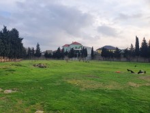 Satılır Torpaq, Xəzər.r, Mərdəkan, Koroğlu.m-1