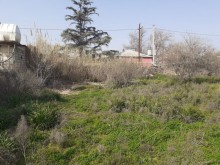 Satılır Torpaq, Suraxanı.r, Əmircan-1
