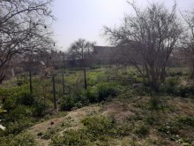 Satılır Torpaq, Suraxanı.r, Əmircan-2
