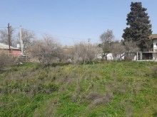 Satılır Torpaq, Suraxanı.r, Əmircan-3