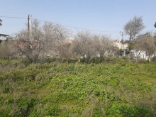 Satılır Torpaq, Suraxanı.r, Əmircan-4