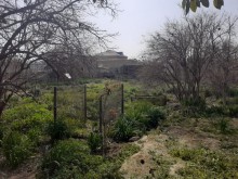 Satılır Torpaq, Suraxanı.r, Əmircan-8
