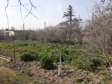 Satılır Torpaq, Suraxanı.r, Əmircan-9