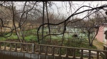 Satılır Həyət evi, Abşeron.r, Mehdiabad-1