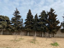 Satılır Torpaq, Xəzər.r, Mərdəkan, Koroğlu.m-1