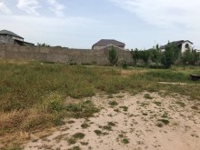 Satılır Torpaq, Xəzər.r, Mərdəkan, Koroğlu.m-6