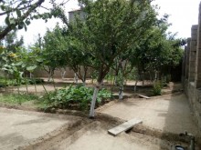 buzovna torpaq elanı, -1