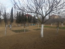 buzovna torpaq elanı, -10
