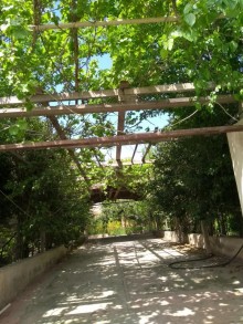 Kirayə (Aylıq) Villa, Səbail.r, Şıxov-15