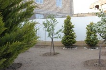 Kirayə (Aylıq) Villa, Xəzər.r, Mərdəkan-6