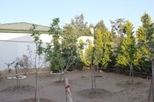 Kirayə (Aylıq) Villa, Xəzər.r, Mərdəkan-11