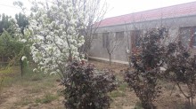 Satılır Həyət evi, Xırdalan.ş-16