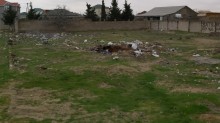 Satılır Torpaq, Sabunçu.r, Albalı-1