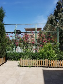 Kirayə (Aylıq) Villa, Xəzər.r, Şüvəlan-7