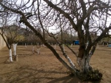 Satılır Həyət evi, Xəzər.r, Buzovna-4