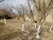 Satılır Həyət evi, Xəzər.r, Buzovna-6