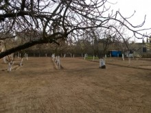 Satılır Həyət evi, Xəzər.r, Buzovna-9