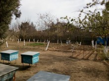 Satılır Həyət evi, Xəzər.r, Buzovna-11