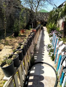 Kirayə (Aylıq) Həyət evi, Xəzər.r, Şimal qres, Koroğlu.m-2