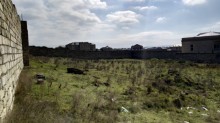 Satılır Torpaq, Abşeron.r, Novxanı-6