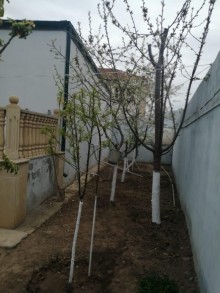 Satılır Həyət evi, Xəzər.r, Şağan-9