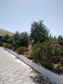 Kirayə (Aylıq) Həyət evi, Xəzər.r, Şüvəlan-4