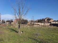 Satılır Torpaq, Xəzər.r, Mərdəkan, Koroğlu.m-1