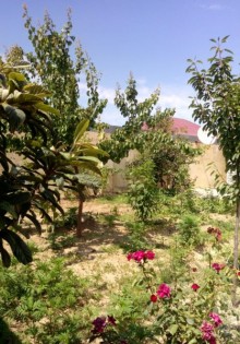 Satılır Həyət evi, Sabunçu.r, Zabrat, Koroğlu.m-19