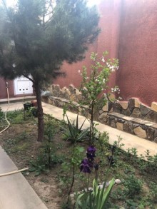 Kirayə (Aylıq) Həyət evi, Xəzər.r, Şüvəlan-10