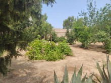Kirayə (Aylıq) Həyət evi, Xəzər.r, Şüvəlan-3