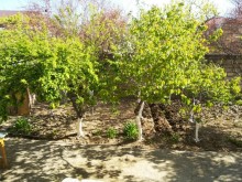 Satılır Həyət evi, Binəqədi.r, Biləcəri-2