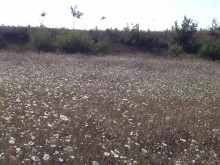 Satılır Torpaq, Qəbələ.ş-5