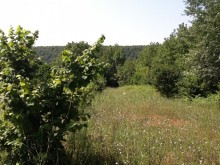 Satılır Torpaq, Qəbələ.ş-6