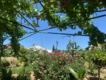 Satılır Həyət evi, Xəzər.r, Buzovna-2