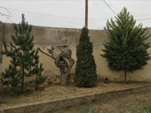 Satılır Həyət evi, Xəzər.r, Buzovna-3