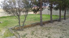 Satılır Torpaq, Sabunçu.r, Pirşağı, Koroğlu.m-6