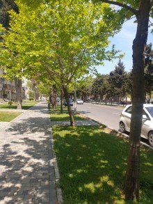 Satılır Obyekt, Sabunçu.r, Bakıxanov-4
