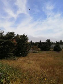 Satılır Torpaq, Xəzər.r, Mərdəkan-2