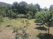 Satılır Həyət evi, Oğuz.ş-2