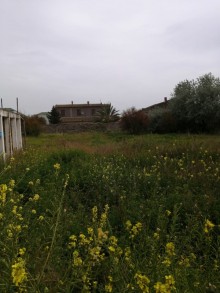 buzovnada torpağın qiyməti, -1