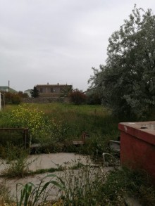 buzovnada torpağın qiyməti, -2