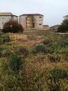 buzovnada torpağın qiyməti, -3