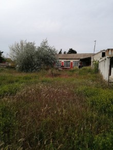 buzovnada torpağın qiyməti, -5