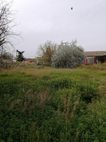 buzovnada torpağın qiyməti, -6
