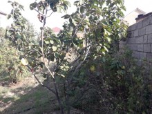 Satılır Həyət evi, Xəzər.r, Zirə-10