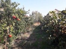 Satılır Həyət evi, Xəzər.r, Zirə-14